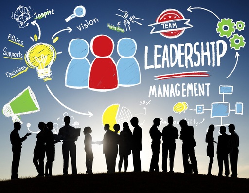 LIDERAZGO E INTEGRACIÓN DE EQUIPOS